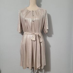 Sabina Musayev Anthropologie Mercury Silver Metallic Shirt‎ Dress Size L Petite